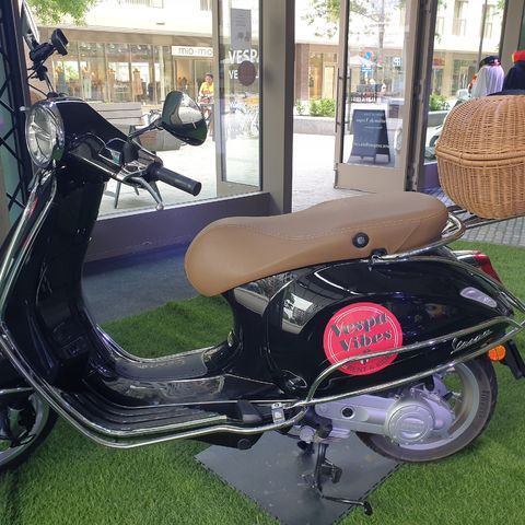 Daddy Cool in Hasselt