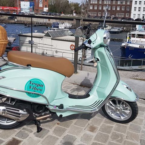 Gras Monkey in Hasselt