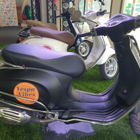 Italian Stallion in Hasselt